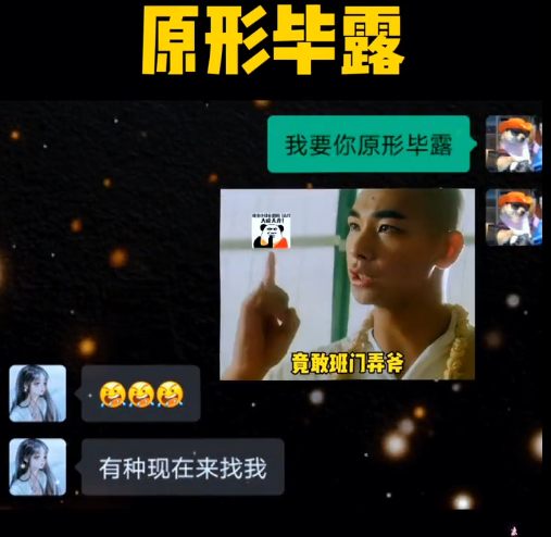 原形毕露，哼雕虫小计，竟敢班门弄斧，现行，微信,QQ,表情包,视频,素材,下载-村里姑娘-资源整合-买卖站