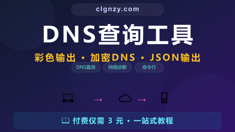 DNS 查询还在用 nslookup？现代化 DNS 查询工具更清晰-村里姑娘-知识付费与AI资源整合平台